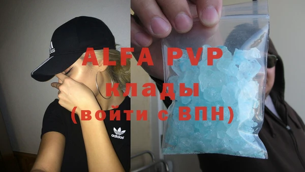 дмт Дмитриев