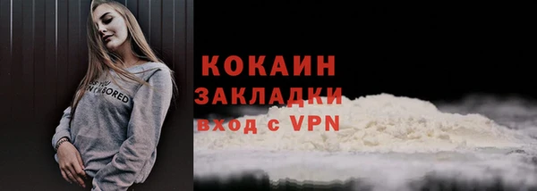 дмт Дмитриев