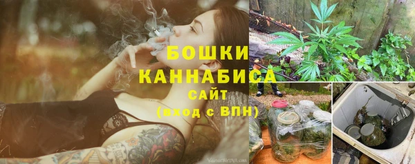 дмт Дмитриев