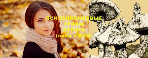 гидропоника Медвежьегорск